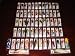 Lot of 64 New in the Box Bass Trout Redfish Musky Crankbait Fishing Lures