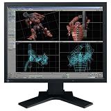 Eizo L885-K 50,8 cm (20 Zoll) TFT-Monitor schwarz/anthrazit (DVI) Eizo L885-K 50,8 cm (20 Zoll) TFT-Monitor schwarz/anthrazit (DVI)