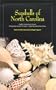 Seashells of North Carolina
