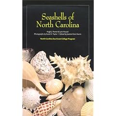 Seashells of North Carolina