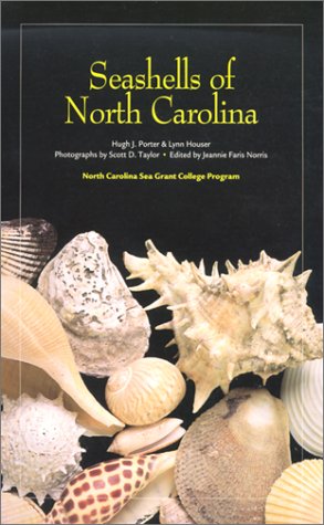 Seashells Of North Carolina
