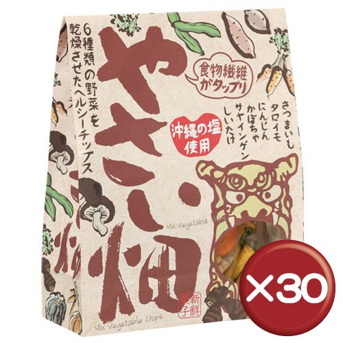 やさい畑　100g（野菜チップス）　30袋セット