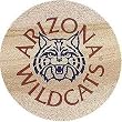 University of Arizona Sandstone Coasters - Set of Four by Thirstystone