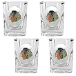 Chicago Blackhawks NHL 4pc Square Shot Glass Set by Great American Products