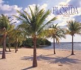 Florida, Wild & Scenic 2009 Deluxe Wall Calendar