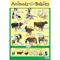 Animals and their Babies - Educational Poster Chart