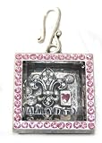 Gorgeous Shadowbox Picture Frame Crystal Fleur Amore Charm Pendant with Pink Crystals ~ Silver Tone