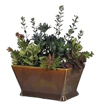 Big Sale House of Silk Flowers Artificial Succulent Garden in Rectangle Ceramic