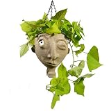 Winky the Face Jug - Hanging Stoneware Planter