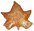 Small Glass Auburn Maple Dish 9.25"L