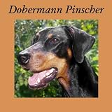 Doberman Pinscher (Euro)(black/tan) 15 Oz Ceramic Mug