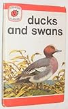 Ducks and swans