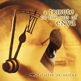 AnInstrumentalTributetotheHitsofEnya