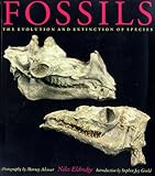 Fossils-