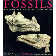 Fossils: The Evolution and Extinction of Species