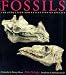 Price Comparison : Fossils
