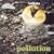 Pollution