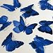 Butterfly 3D Translucent Decoration 12 BLUE Butterflies