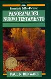 Panorama del Nuevo Testamento: Survey of the New Testament / Panorama of the Old Testament (Everyman's Bible Commentary)