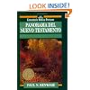 Panorama del Nuevo Testamento (Comentario B�blico Portavoz) (Spanish Edition)