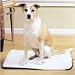 Petsafe Heated Pet Pad Replacement Cover (Large)
