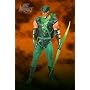 Justice League Alex Ross Series 5 Green Arrow Action Figure
