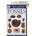 DK Handbook: Fossils