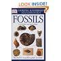 DK Handbook: Fossils