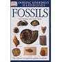 DK Handbook: Fossils