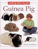 Guinea Pig (Looking After My Pet)