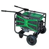 Hitachi E43 4,300-Watt 8 HP Portable Generator Powered By Honda