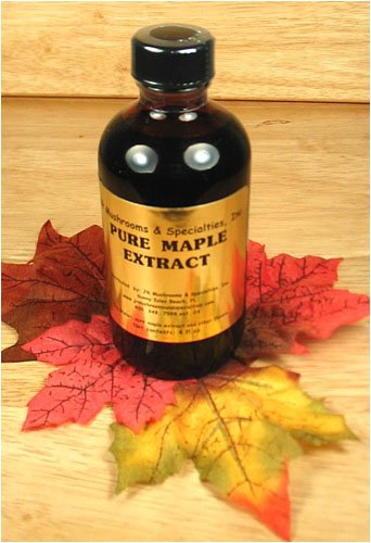 Maple Extract