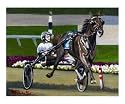 Coming Home (Standardbred) Sports Giclee Poster Print by Rhonda Watson, 10x8