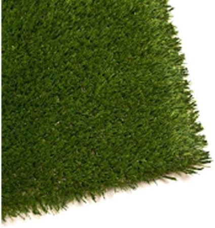 ALEKO 2' x 3' (6 sq.f) Indoor/Outdoor Artificial Garden Grass, U Shape Monofil PE | Tender and Elastic Artificial Grass