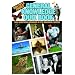 Multiple Choice General Knowledge Quiz Book