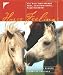 Horse Feelings. Die Welt der Pferde. Frei, geheimnisvoll, faszinierend