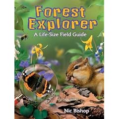 Forest Explorer: A Life-sized Field Guide (Forest Explorer)