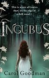 Incubus (Fairwick Chronicles 1)