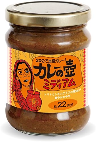 Third of the world shop curry pot Medium 220g