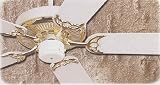 Builder Deluxe White Polished Brass Ceiling Fan