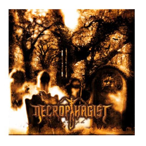 Necrophagist - Symbiotic In Theory Lyrics - Zortam Music