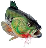 New Outside Inside Large Mouth Bass Birdhouse Includes Ventilation And Drainage Holes