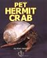 Pet Hermit Crab (First Step Nonfiction)