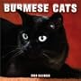 Burmese Cats 2004 Calendar