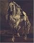 A cheval ! : Ecuyers, amazones & cavaliers du XIVe au XXIe si�cle