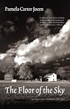 The Floor of the Sky (Flyover Fiction)