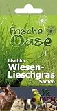 JR Frische Oase Saatgut Wilde Möhre