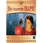Die feuerrote Blume
