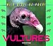 Wild Birds of Prey - Vultures
