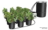 C.A.P. Ebb & Gro Hydro System, Complete